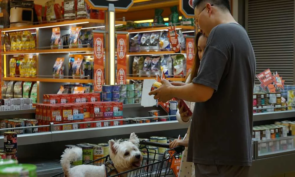 Young Chinese shoppers comparing packaged products inside a modern convenience store