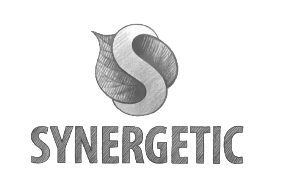 Synergetic Logo