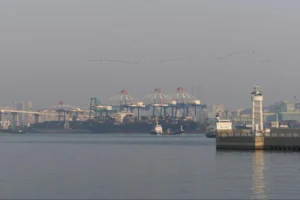 china strings of pearls