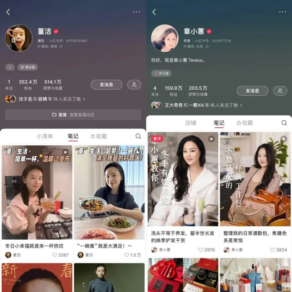 RedNote influencer profiles demonstrating social search and discovery