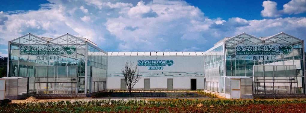 Smart agriculture greenhouses used in Pinduoduo farming and rural supply chain programs
