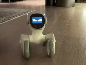 Loona robot navigating a home environment.