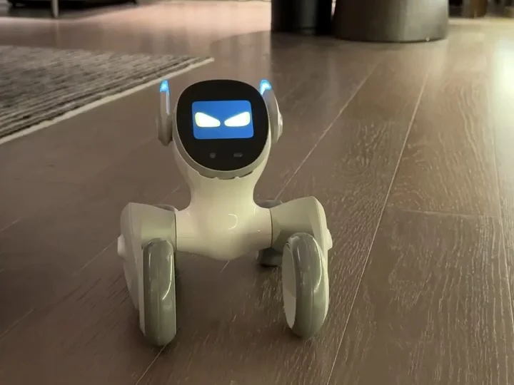 Loona robot navigating a home environment.