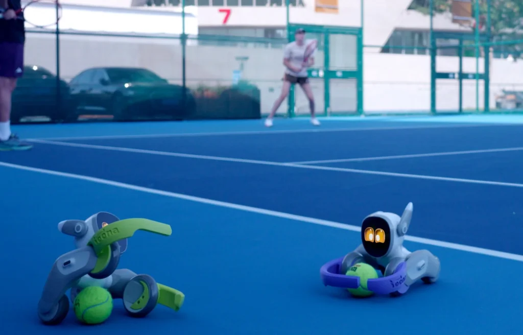 Loona robots used in an interactive sports activity.