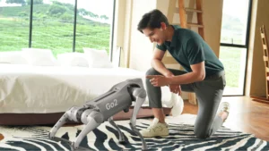 Person interacting with quadruped robot inside home showcasing human-robot interaction