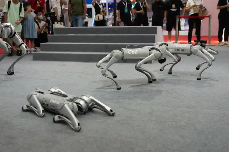 Unitree Go2 quadruped robots performing coordinated movement at public demo