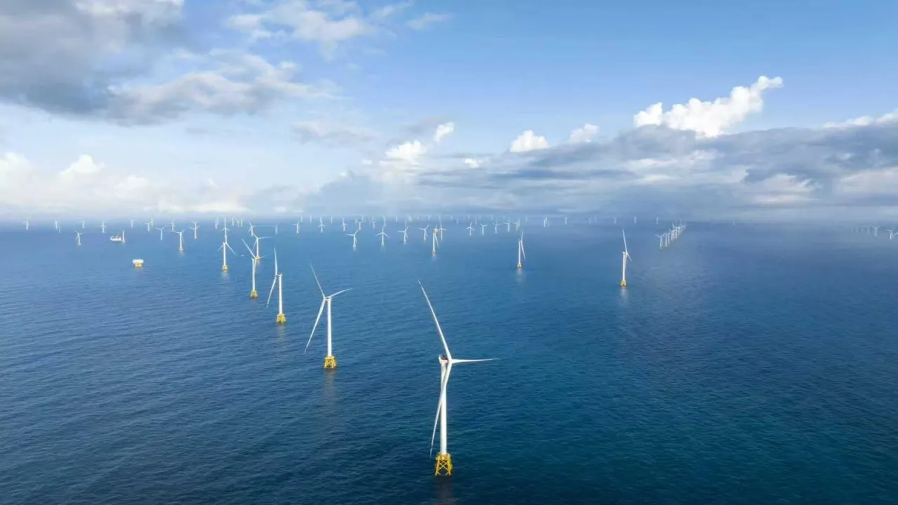 Large offshore wind farm with turbines spread across blue sea
