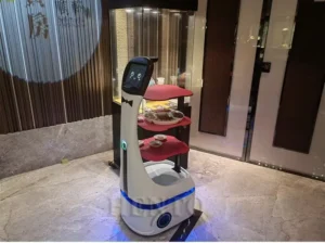 Robot waiter carrying meal trays indoors