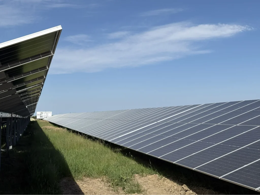 Large solar panel field under a clear blue sky