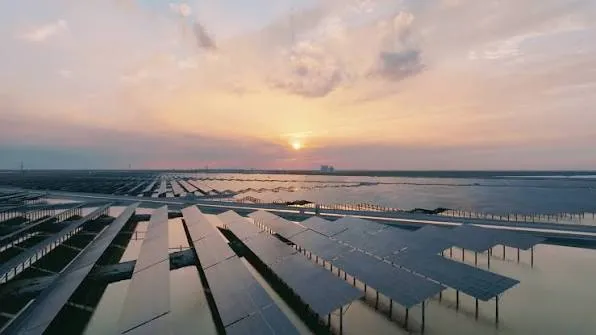 Solar panels at sunset