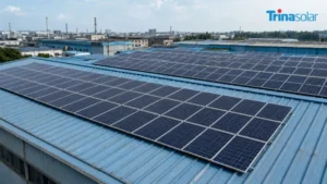 Trina Solar rooftop panels