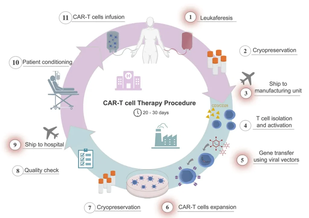 Diagram showing the CAR-T cell therapy process