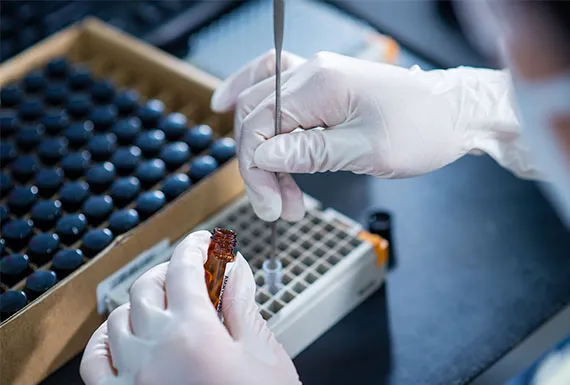 WuXi AppTec laboratory sample testing