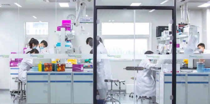 Scientists conducting genomic research in a Novogene lab